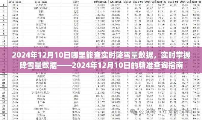 2024年12月11日 第23页