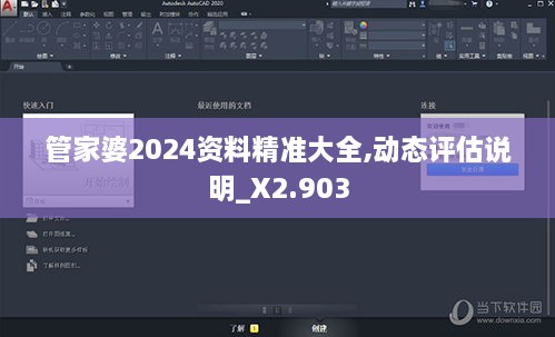 管家婆2024资料精准大全,动态评估说明_X2.903