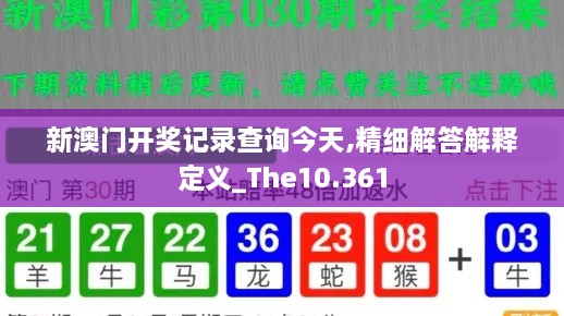 新澳门开奖记录查询今天,精细解答解释定义_The10.361