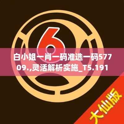 白小姐一肖一码准选一码57709.,灵活解析实施_T5.191