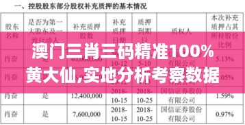 澳门三肖三码精准100%黄大仙,实地分析考察数据_MT5.742