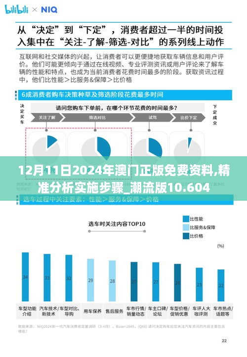 12月11日2024年澳门正版免费资料,精准分析实施步骤_潮流版10.604