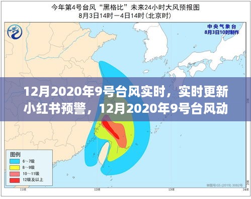 最新预警！2020年9号台风动态全解析与实时更新小红书预警