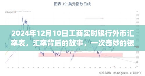 银行之旅揭秘汇率背后的故事，友情见证与实时汇率表