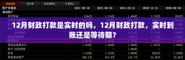 12月财政打款实时到账详解，实时还是等待期？