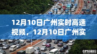 广州实时高速视频，领略现代化大都市繁华节奏