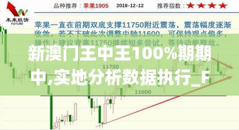 新澳门王中王100%期期中,实地分析数据执行_FHD版6.799