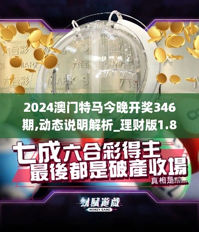 2024澳门特马今晚开奖346期,动态说明解析_理财版1.864