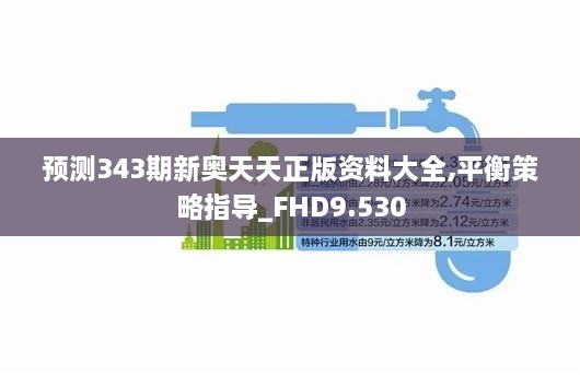 预测343期新奥天天正版资料大全,平衡策略指导_FHD9.530