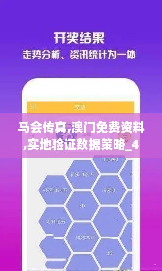 马会传真,澳门免费资料,实地验证数据策略_4K版2.102