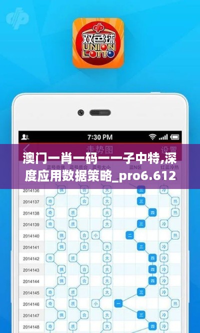 澳门一肖一码一一子中特,深度应用数据策略_pro6.612