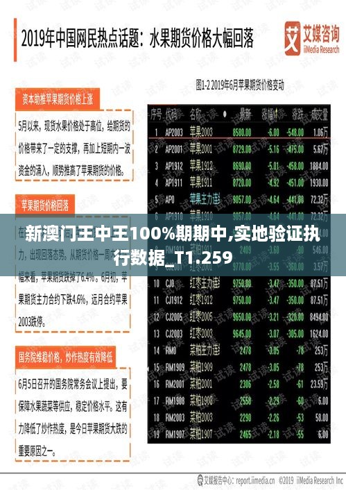 新澳门王中王100%期期中,实地验证执行数据_T1.259