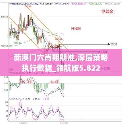 新澳门六肖期期准,深层策略执行数据_领航版5.822