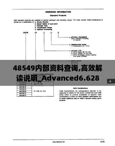 2024年12月12日 第26页