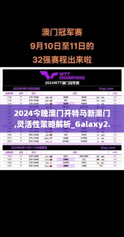 2024今晚澳门开特马新澳门,灵活性策略解析_Galaxy2.556