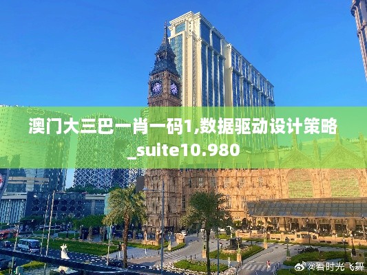 澳门大三巴一肖一码1,数据驱动设计策略_suite10.980