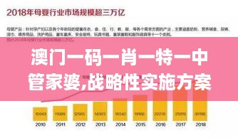 澳门一码一肖一特一中管家婆,战略性实施方案优化_增强版15.785