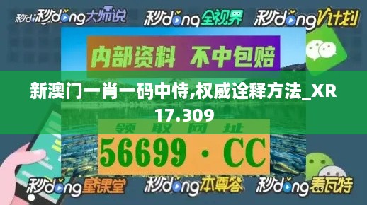 新澳门一肖一码中恃,权威诠释方法_XR17.309