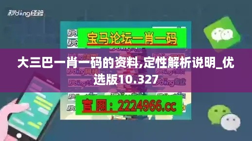 大三巴一肖一码的资料,定性解析说明_优选版10.327