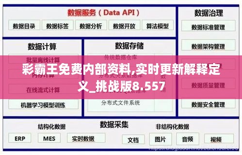 2024年12月12日 第11页