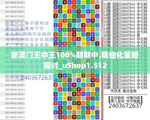 新澳门王中王100%期期中,精细化策略探讨_uShop1.512