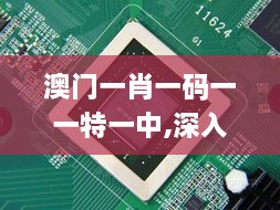 澳门一肖一码一一特一中,深入解析应用数据_GM版2.497