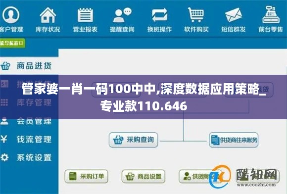 管家婆一肖一码100中中,深度数据应用策略_专业款110.646