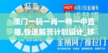 澳门一码一肖一特一中直播,快速解答计划设计_移动版6.526