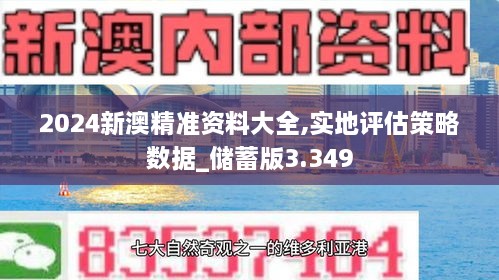 2024新澳精准资料大全,实地评估策略数据_储蓄版3.349