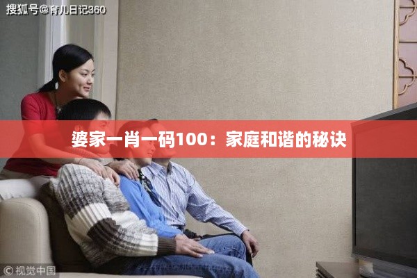 婆家一肖一码100：家庭和谐的秘诀