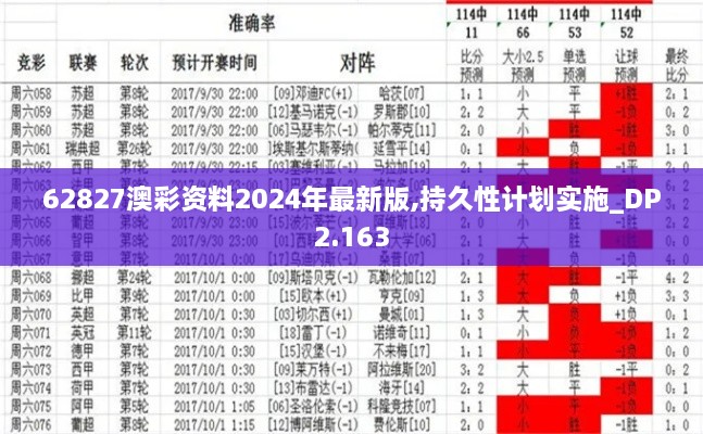 62827澳彩资料2024年最新版,持久性计划实施_DP2.163