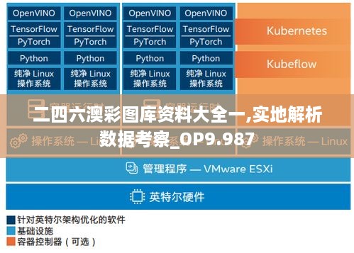 二四六澳彩图库资料大全一,实地解析数据考察_OP9.987