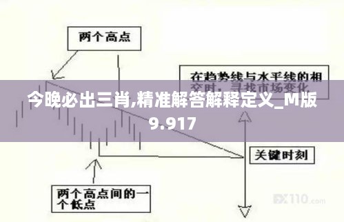 今晚必出三肖,精准解答解释定义_M版9.917