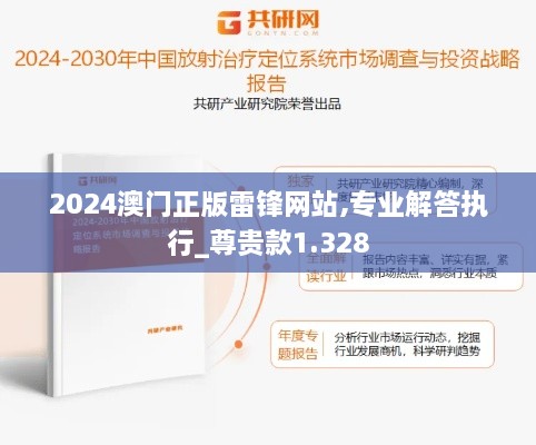 2024澳门正版雷锋网站,专业解答执行_尊贵款1.328