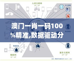 澳门一肖一码100%精准,数据驱动分析决策_复古款10.401