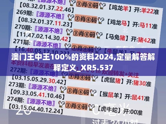 澳门王中王100%的资料2024,定量解答解释定义_XR5.537