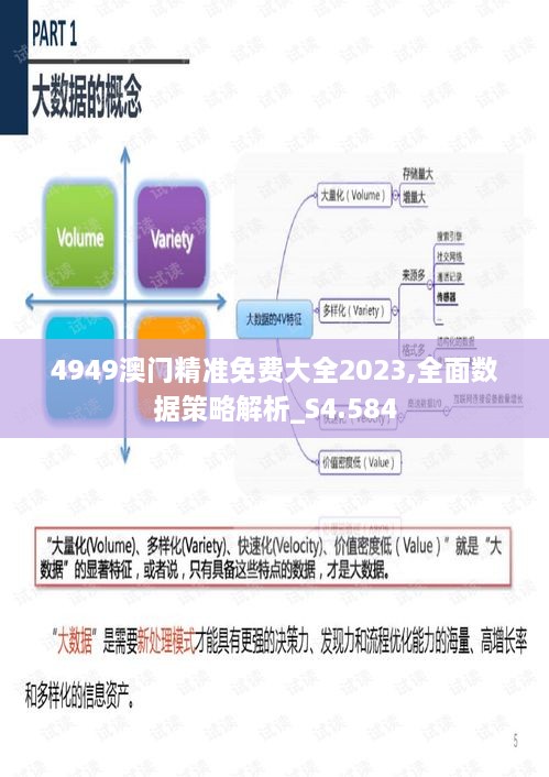 4949澳门精准免费大全2023,全面数据策略解析_S4.584