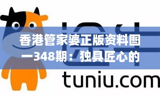 香港管家婆正版资料图一348期：独具匠心的设计理念