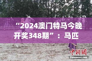 “2024澳门特马今晚开奖348期”：马匹背后的故事