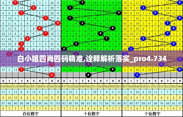 白小姐四肖四码精准,诠释解析落实_pro4.734