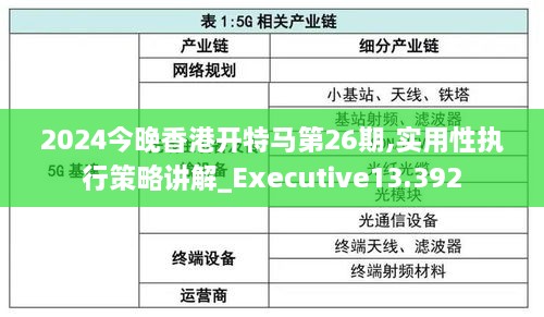 2024今晚香港开特马第26期,实用性执行策略讲解_Executive13.392