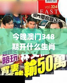 今晚澳门348期开什么生肖：赌桌背后的人性挑战