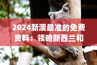 2024新澳最准的免费资料：领略新西兰和澳洲独特的野生动物世界