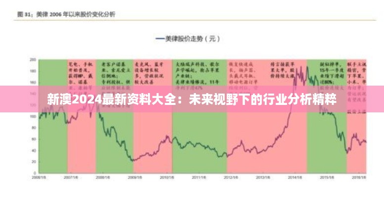 新澳2024最新资料大全：未来视野下的行业分析精粹