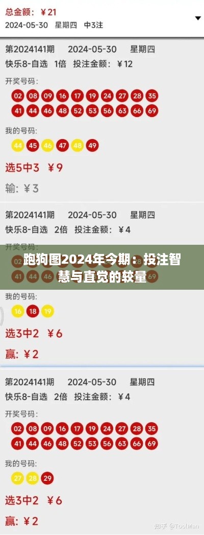 跑狗图2024年今期：投注智慧与直觉的较量