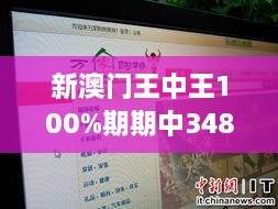 新澳门王中王100%期期中348期：解析背后的幸运与技巧