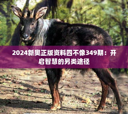 2024新奥正版资料四不像349期：开启智慧的另类途径