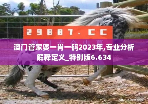 澳门管家婆一肖一码2023年,专业分析解释定义_特别版6.634