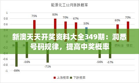 2024年12月14日 第31页