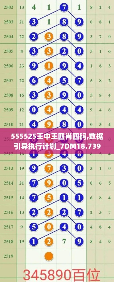 555525王中王四肖四码,数据引导执行计划_7DM18.739